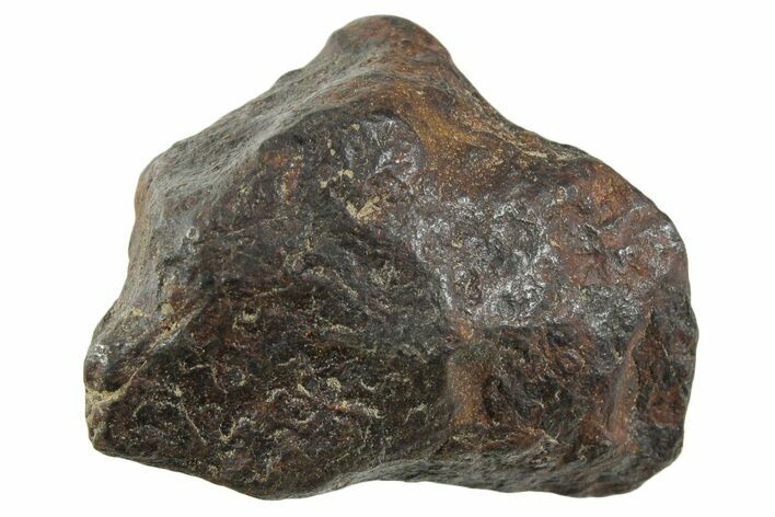 Canyon Diablo Iron Meteorite ( g) - Arizona #356100